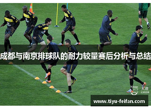 成都与南京排球队的耐力较量赛后分析与总结