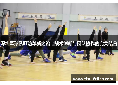 深圳篮球队盯防革新之路：战术创新与团队协作的完美结合