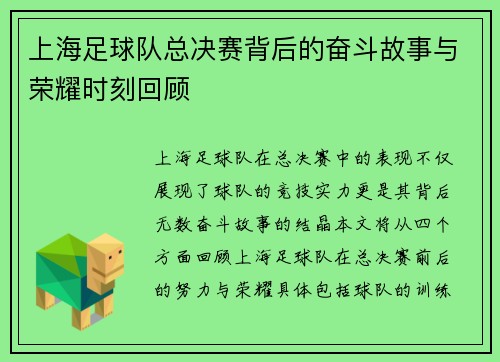 上海足球队总决赛背后的奋斗故事与荣耀时刻回顾