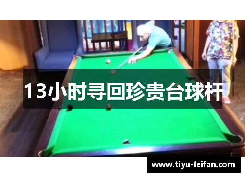 13小时寻回珍贵台球杆