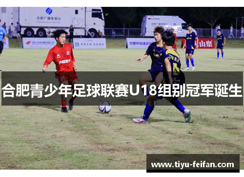 合肥青少年足球联赛U18组别冠军诞生