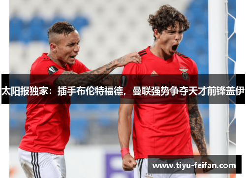 太阳报独家：插手布伦特福德，曼联强势争夺天才前锋盖伊